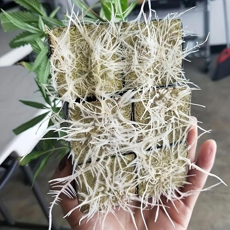 100 unids/bolsa mini compresa base prácticos cubos de lana de roca bloques de medios multifunción jardín cultivo hidropónico cultivo sin suelo 25x25x25mm 2025 - $13.99 –P5