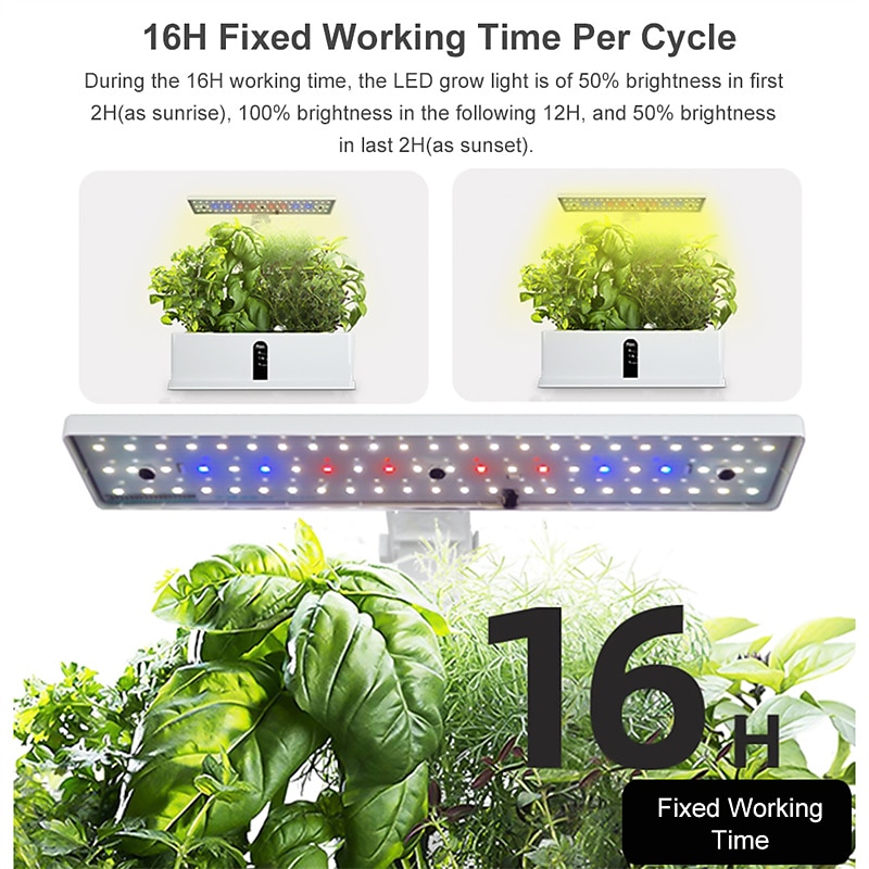 Garden Hydroponics Growing System Indoor Herb Garden Kit Automatic Timing LED Grow Lights Smart Water Pump for Home Flower Pots 2025 - $116.99 –P6