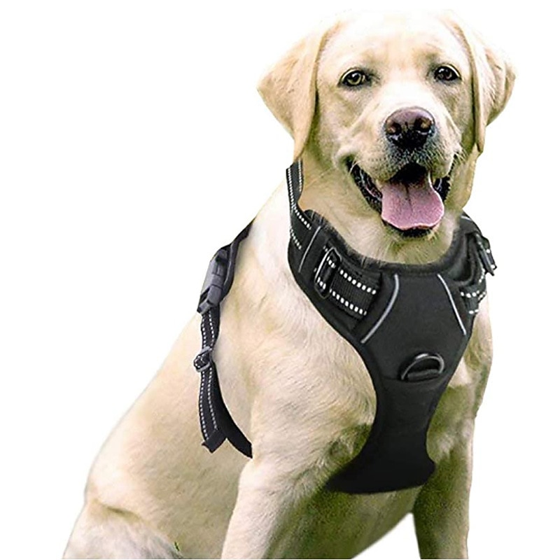Cachorros Animais Pequenos Peludos Arreios Portátil Durável Segurança Ao ar livre Caminhada Bloco de cor 1pç de 2025 por $39.99 –P1