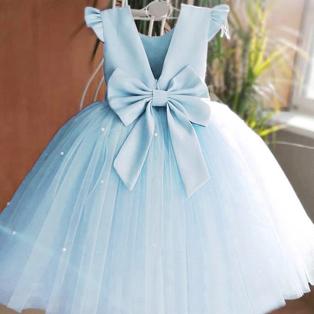 Flower Girl Dress Girls' Princess Dress First Communion Dress Party Dress Formal Performance Wedding Princess Beautiful Ruched Mesh Solid Color Sleeveless V Neck White Pink 2-9 Years 2025 - €30.99 –P2