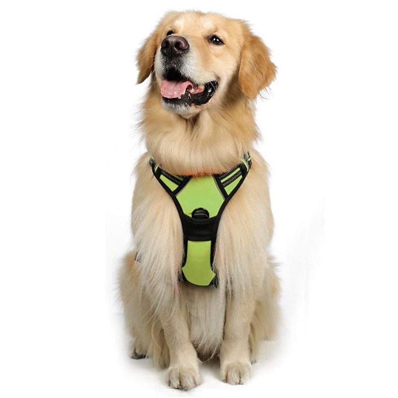 Cachorros Animais Pequenos Peludos Arreios Portátil Durável Segurança Ao ar livre Caminhada Bloco de cor 1pç de 2025 por $39.99 –P6