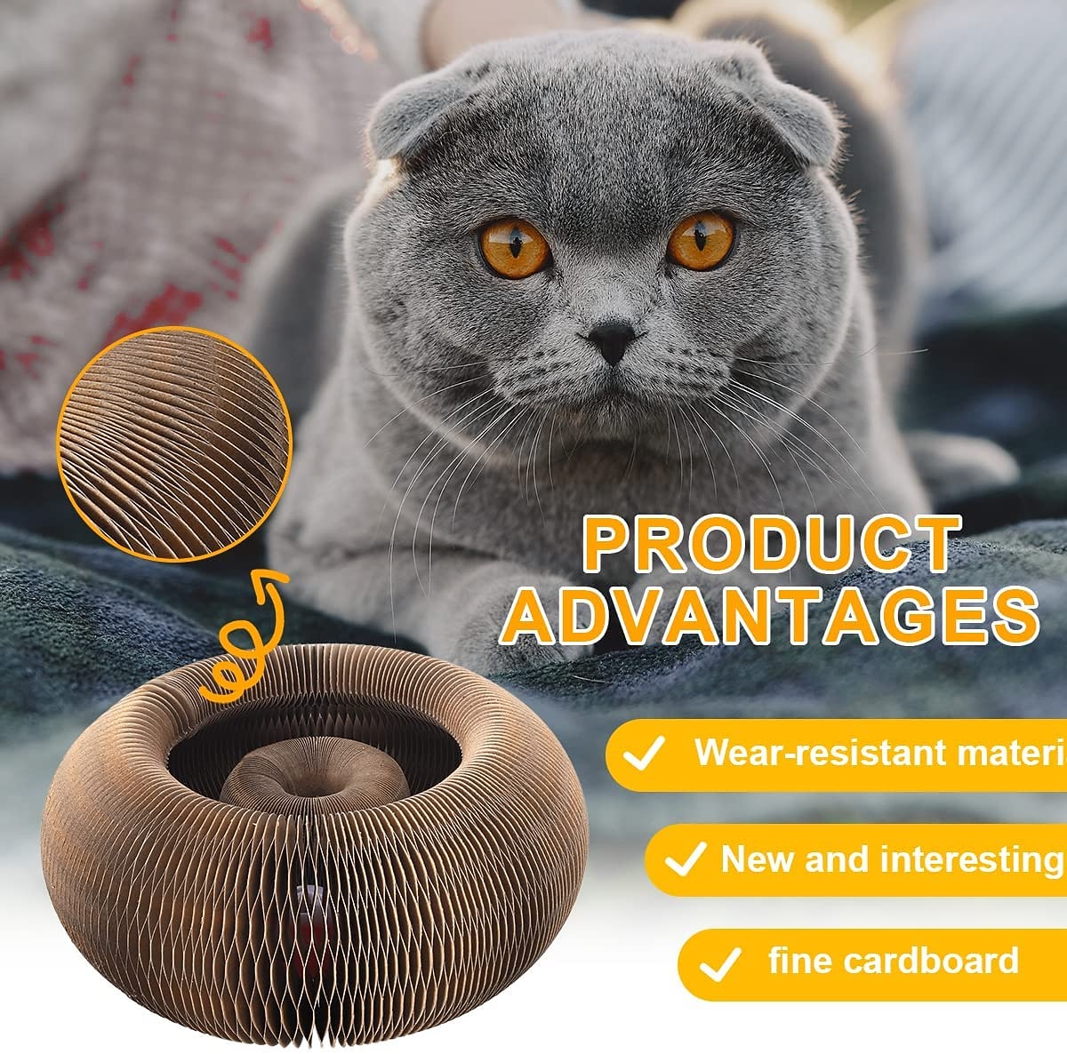 Magic Organ Cat Toy Cats Scratcher Scratch Board Round Corrugated Scratching Post Toys for Cats Grinding Claw Cat Accessories 2026 - $31.99 –P11