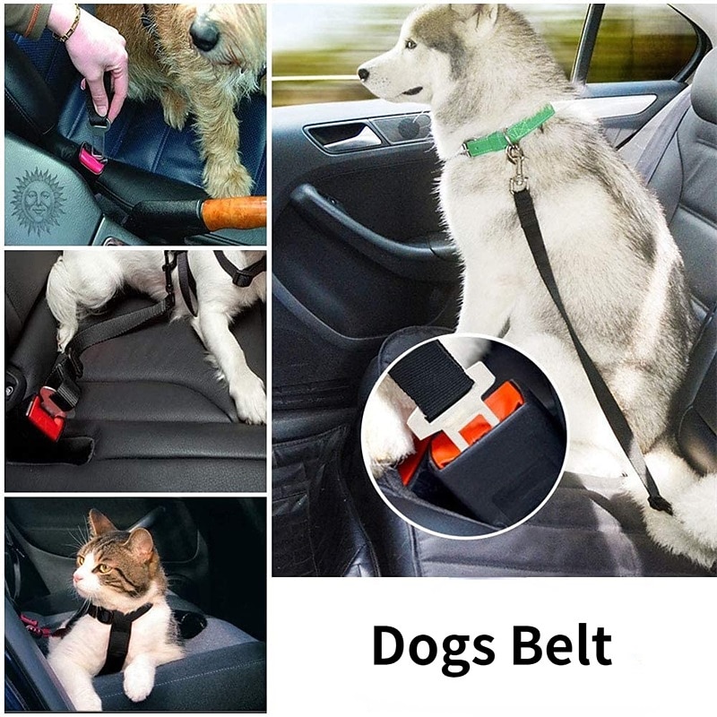 Retractable Dog Safety Belt Pet Car Safety Belt Dog Car Safety Buckle 2026 - $16.99 –P1