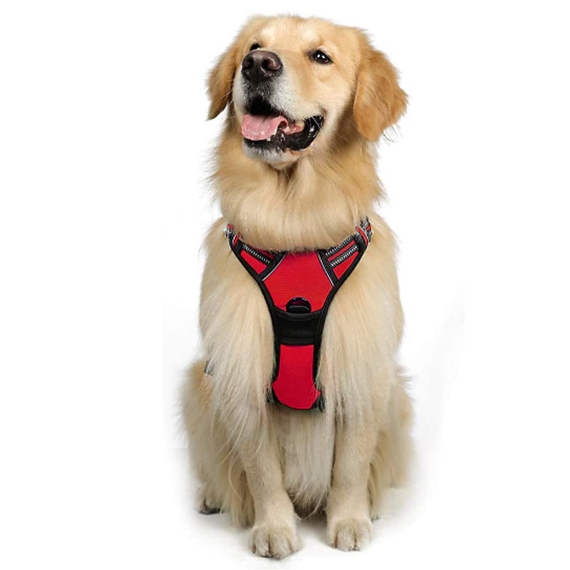 Cachorros Animais Pequenos Peludos Arreios Portátil Durável Segurança Ao ar livre Caminhada Bloco de cor 1pç de 2025 por $39.99 –P5