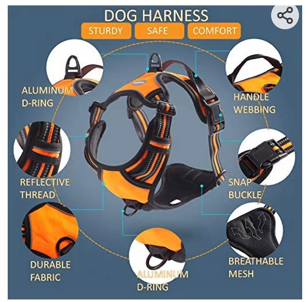 Pet Chest Strap Large Dog Vest Type Traction Rope Dog Chain 2026 - $39.99 –P1