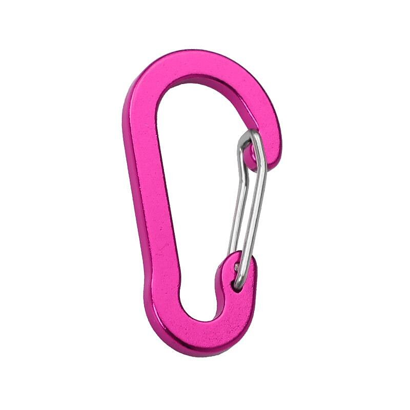 Steel Carabiner Clips, The Essential Outdoor Camping & Mountaineering Tool for Fishing & Climbing 2025 - $0.49 –P10