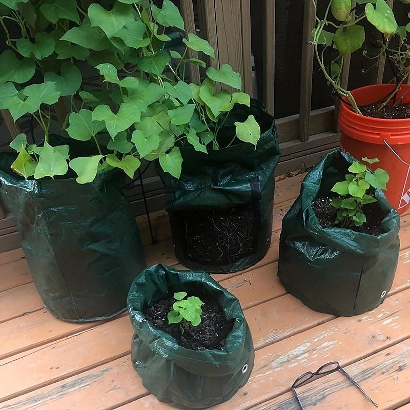 4pcs Potato Grow Bags 10 Gallon Grow Bags With Flap And Handles Plant Container Planter Pot For Potato Tomato And Vegetables Green 2025 - $25.99 –P6