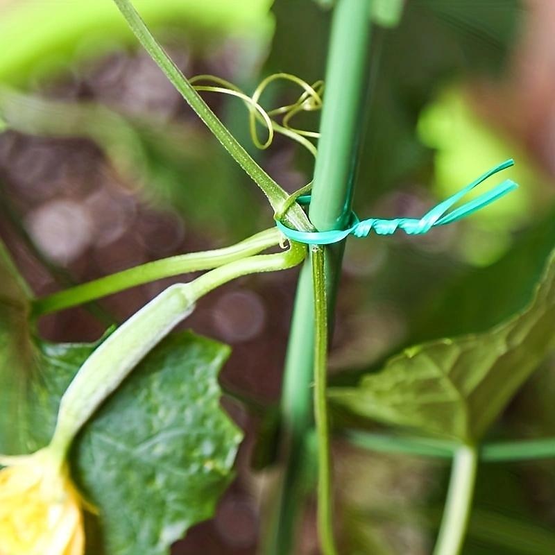 Plant Wire, 1pc Green Plastic Garden Binding Twine For Climbing