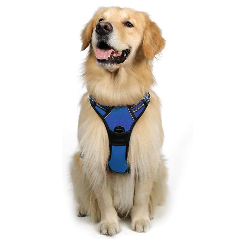 Cachorros Animais Pequenos Peludos Arreios Portátil Durável Segurança Ao ar livre Caminhada Bloco de cor 1pç de 2025 por $39.99 –P7