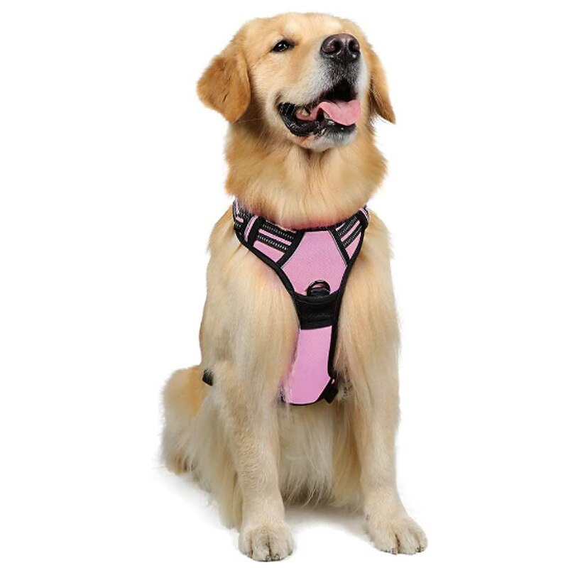 Cachorros Animais Pequenos Peludos Arreios Portátil Durável Segurança Ao ar livre Caminhada Bloco de cor 1pç de 2025 por $39.99 –P2