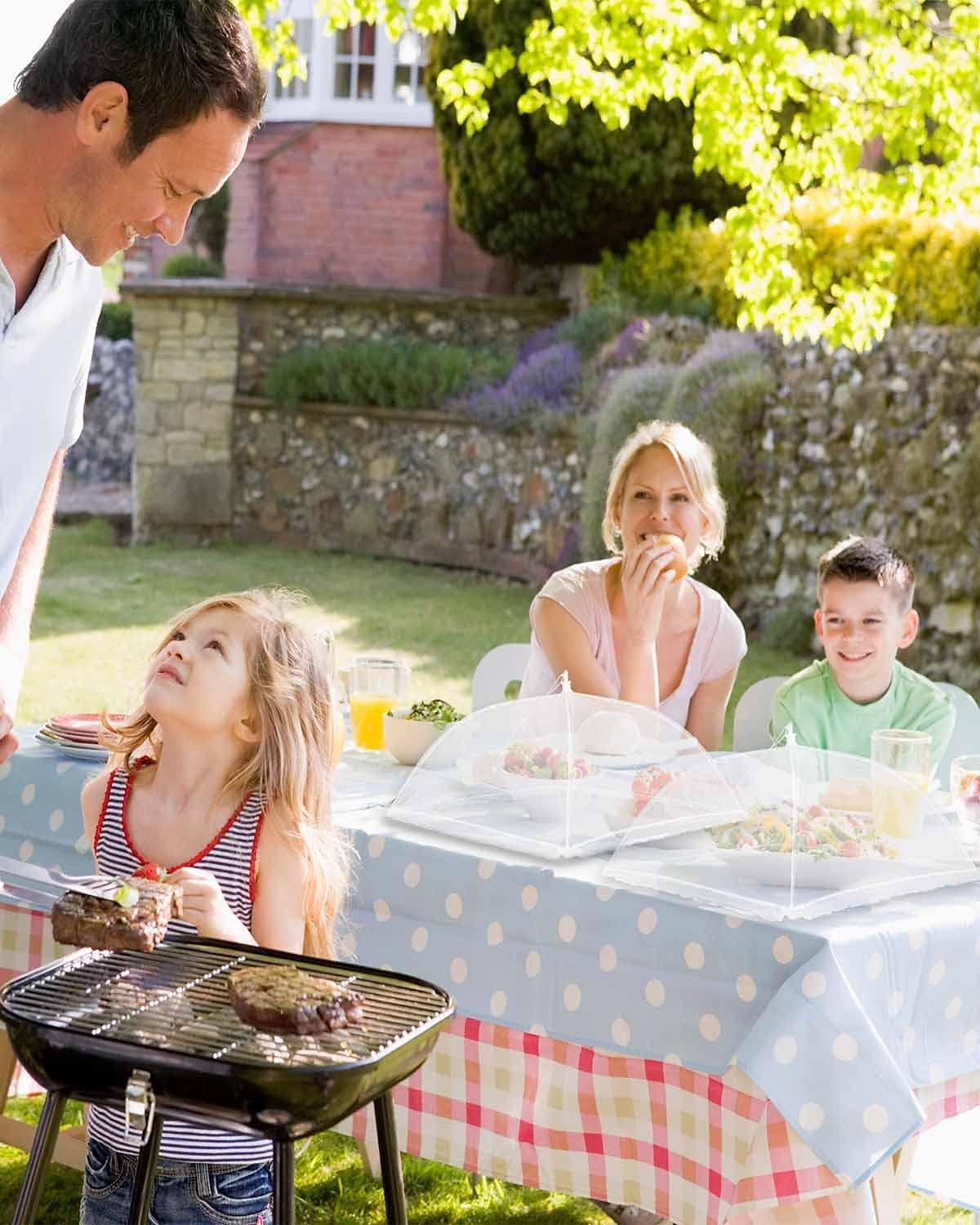 17inch 40 inch Large Food Cover, Mesh Food Tent, White Nylon Covers, Pop-Up Umbrella Screen Tents, Patio Net for Outdoor Camping Picnics Parties BBQ Collapsible and Reusable 2025 - $13.99 –P5