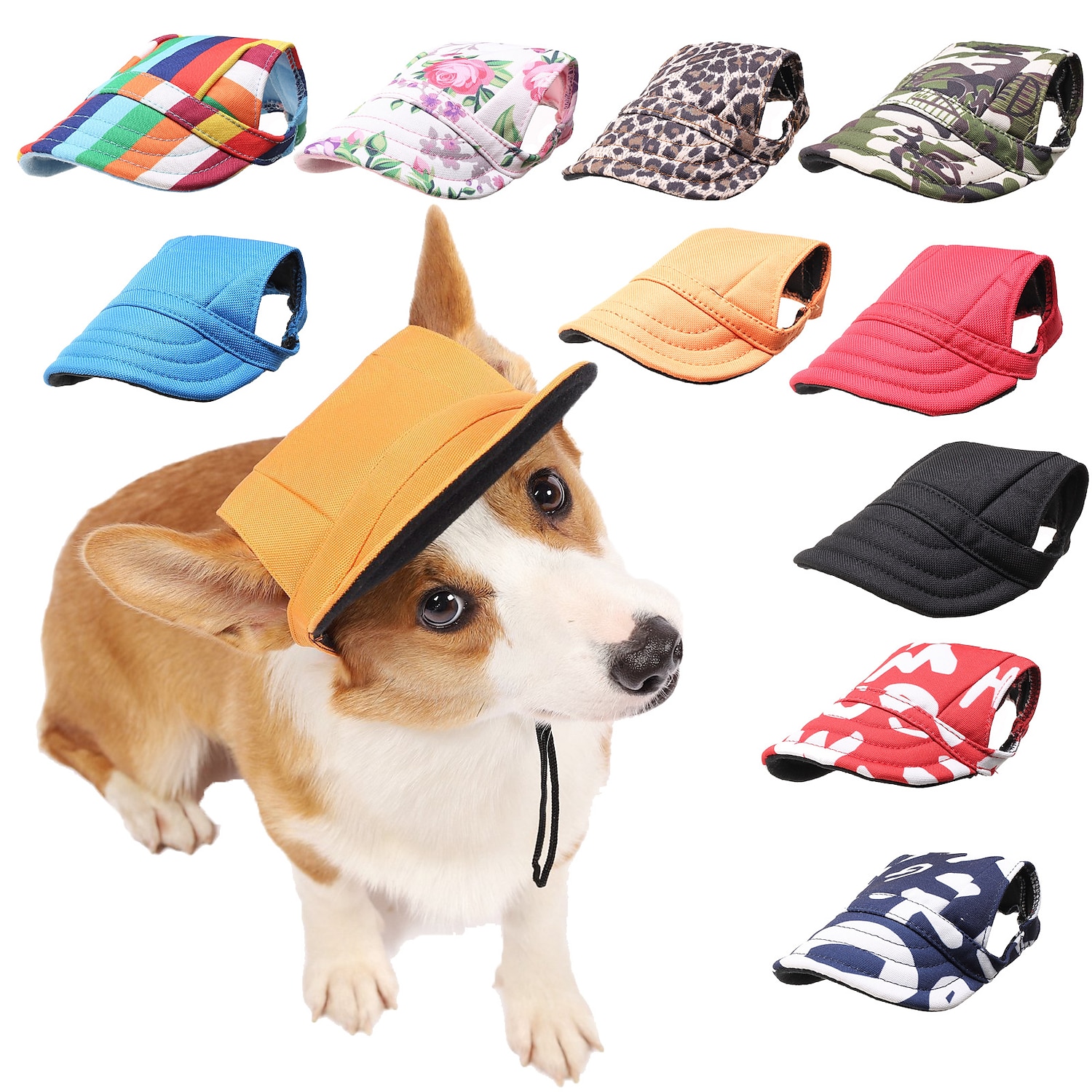 Dog Gear: Cool dogs with hats and baseball hats | Poster