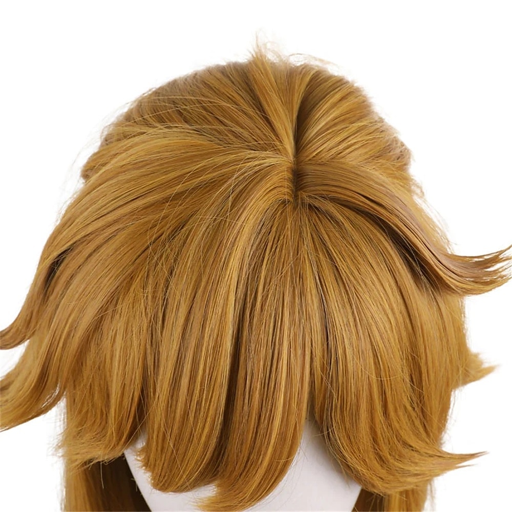 legenda o Zeldě dech divokého odkazu cosplay paruka halloween paruky 2025 - $36.99 –P7
