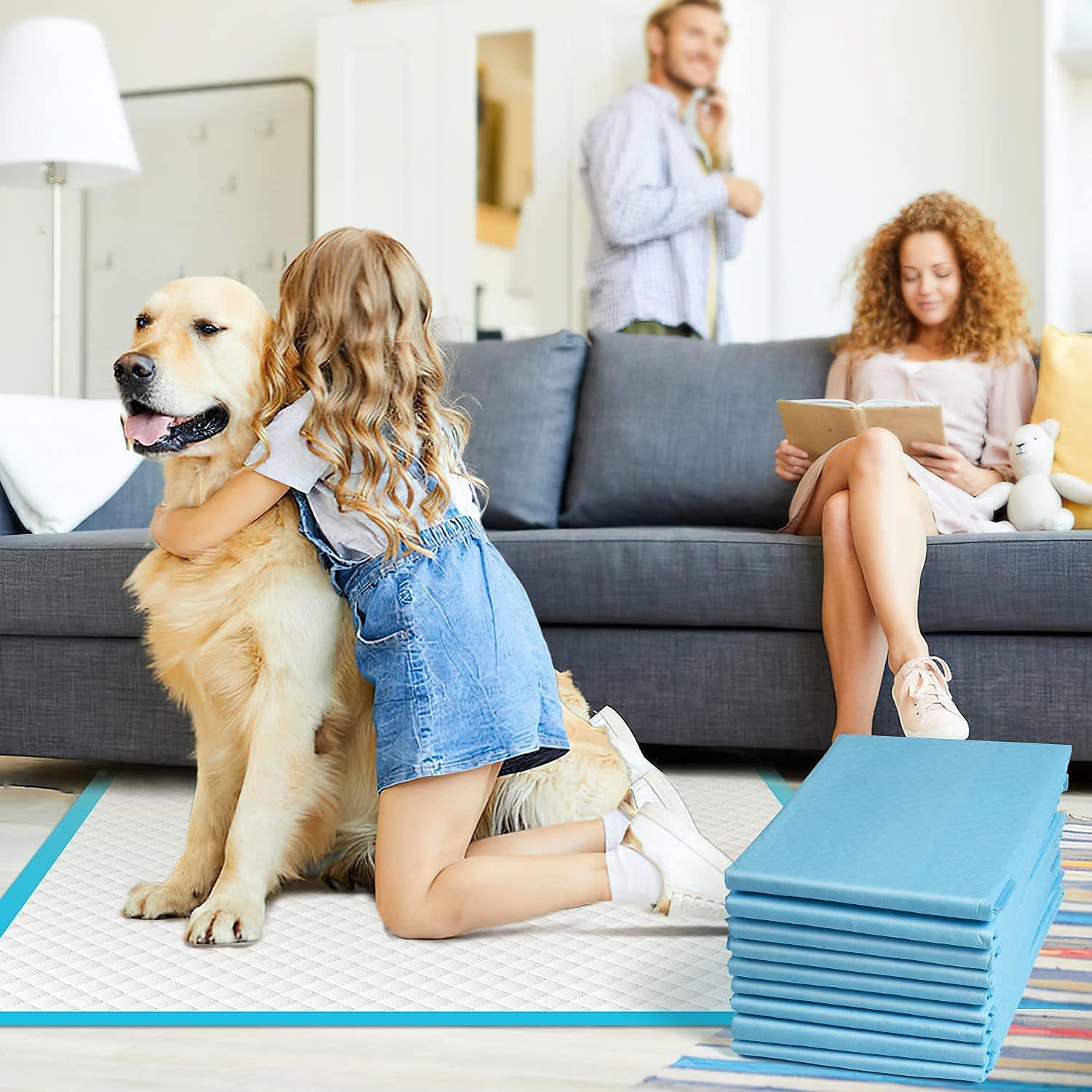 covoraș pentru câini, tampon pentru urină pentru animale de companie scutec tampon pentru urină pentru câini scutec scutec îngroșat deodorant 2025 - $13.99 –P1