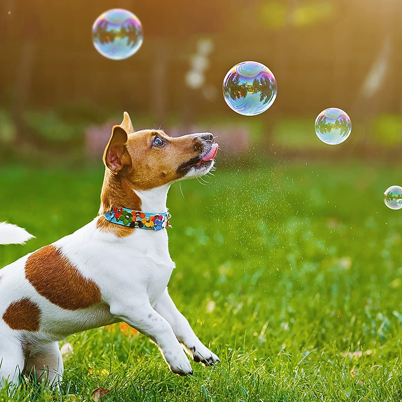 macchine a bolle per effetti scenici eu/us/uk adatte a feste, matrimoni e feste per creare effetti di atmosfera del 2025 a $80.99 –P4
