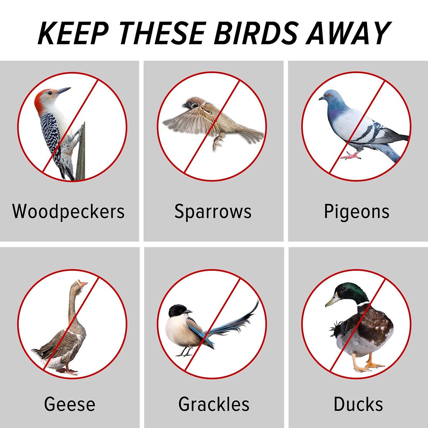 ruban adhésif pour effrayer les oiseaux, ruban adhésif réfléchissant pour oiseaux effrayer les pics ruban adhésif réfléchissant effrayer les oiseaux pour l'extérieur, la maison, le jardin, la de 2025 ? $8.99 –P4
