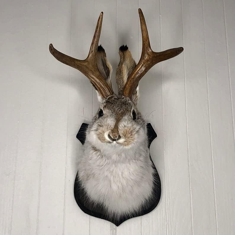 Jackalope Rabbit Wall Decor The Latest Legend of Antlers,Fake Rabbit Resin Art Wall Mount, Simulation Head Specimen Ornament 2025 - $30.99 –P5