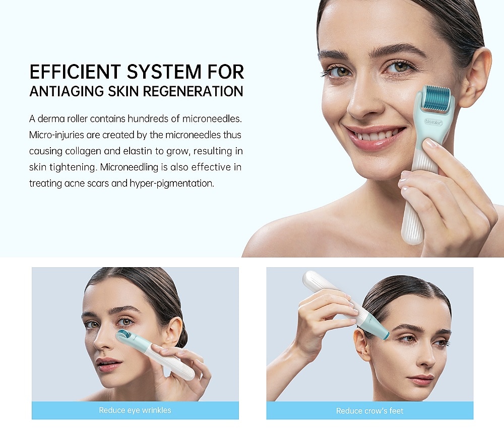10 In 1 Dermaroller Kit Face Massager Microneedling Derma Rolling System Facial Skincare Jade Ice Roller Beard Hair Growth 2025 - CAD $34.99 –P6