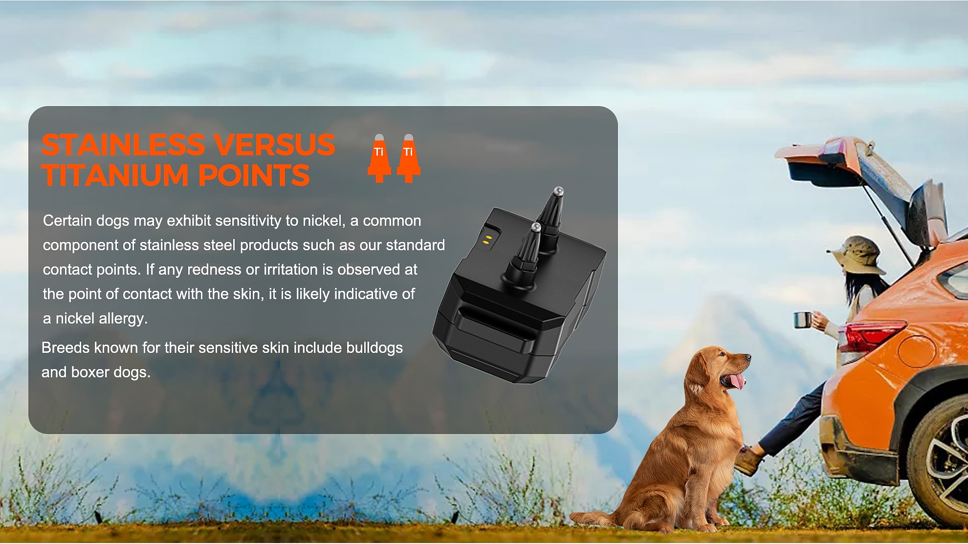 2025年 GPS ワイヤレス犬用フェンス 電動犬用フェンス ペット封じ込めシステム 範囲 33-999 ヤード 調整可能な警告強度 充電式 無害ですべての犬に適しています (2023 年の新モデル!)  コレクション – $143.99 –P2