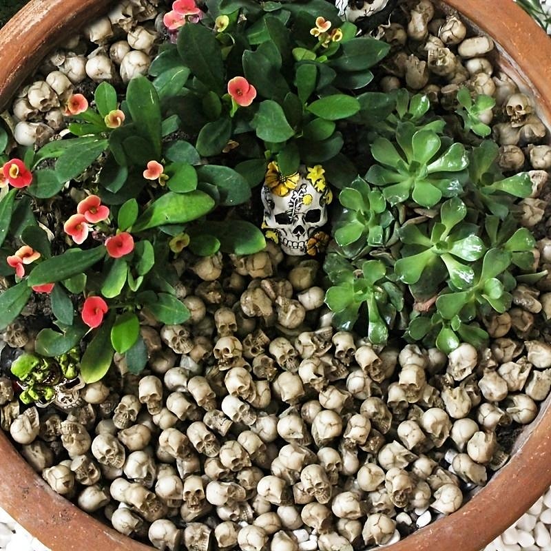 20 Stück Mini-Totenköpfe, Halloween, kleiner Skelettkopf, Blumentopf-Dekor, realistischer Totenkopf, Kunsthandwerk, Gartendekoration, Bonsai, Hofornamente 2025 - $9.49 –P4