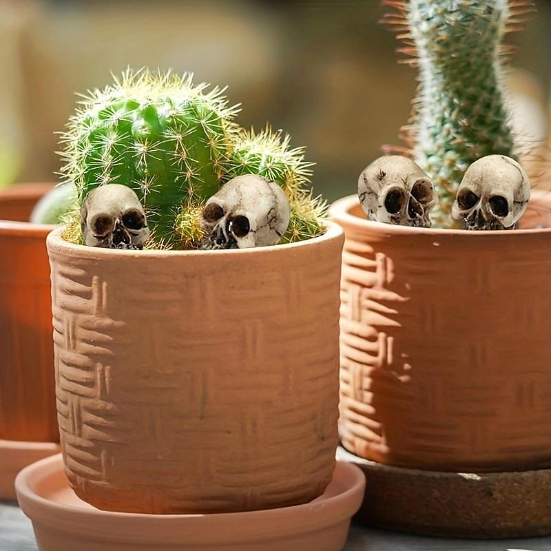 20 Stück Mini-Totenköpfe, Halloween, kleiner Skelettkopf, Blumentopf-Dekor, realistischer Totenkopf, Kunsthandwerk, Gartendekoration, Bonsai, Hofornamente 2025 - $9.49 –P3