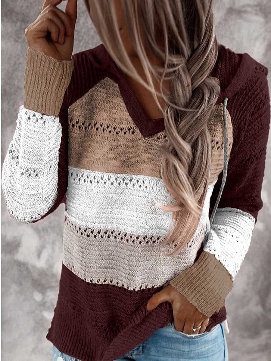 Mujer Suéter de punto Casual Suave Bloque de color Croché Con Capucha Delgado Manga Larga Sayo Tejer Trabajo Diario Festivos Negro Vino Otoño Invierno 2025 - $37.99 –P13