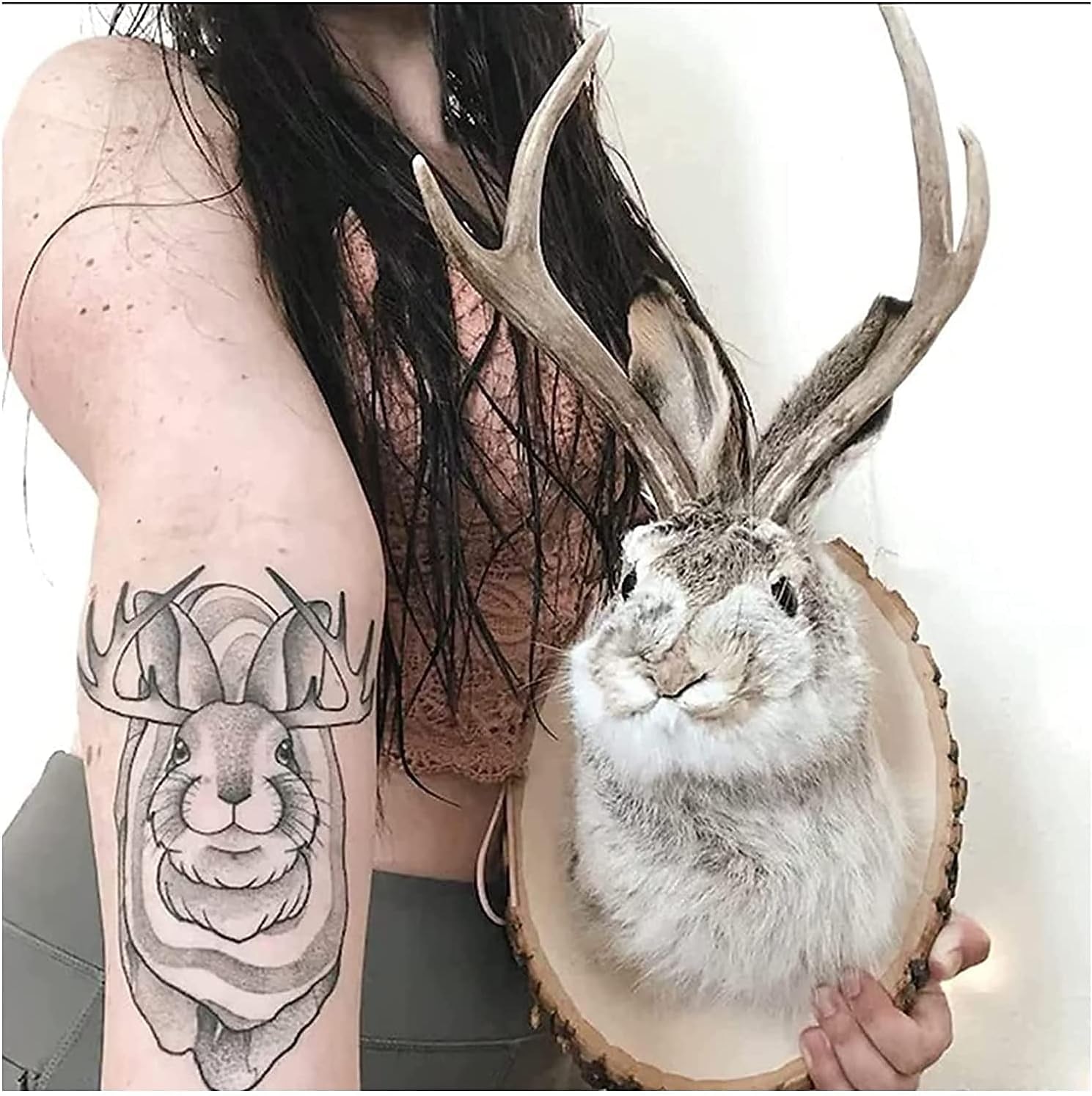 Jackalope Rabbit Wall Decor The Latest Legend of Antlers,Fake Rabbit Resin Art Wall Mount, Simulation Head Specimen Ornament 2025 - $30.99 –P6