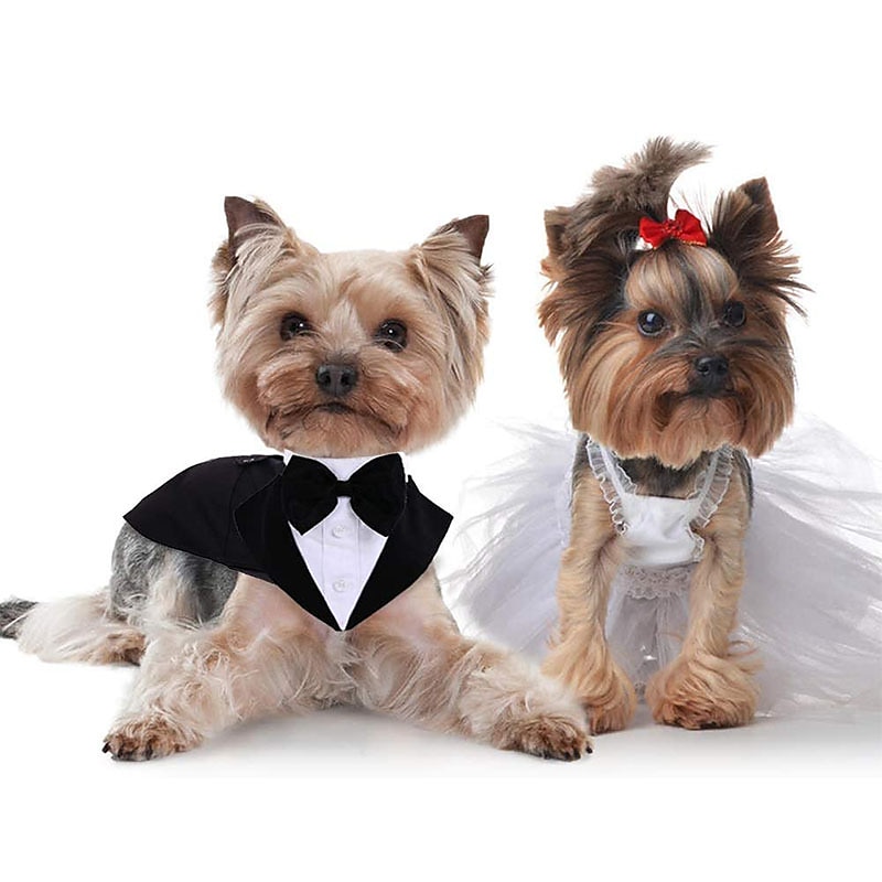 Prodotti per cani Prodotti per gatti Tuta Di tendenza stile sveglio Inverno Morbido Lavabile Comodo Matrimonio Esterno Feste Ricevimento di matrimonio Festival Abbigliamento per cani for Bichon Frise del 2025 a $29.99 –P2