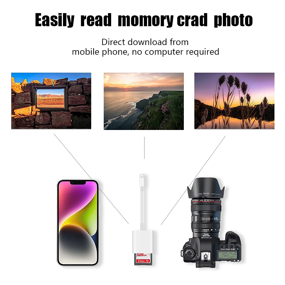 Dual Sd Card Reader Supports SD and TF Card Trail Portable Micro Sd Card Reader No Application Required for Camera iPhone iPad 2025 - $11.99 –P4