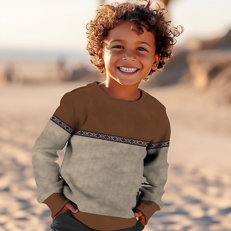 Jongens 3D Grafisch Geometrisch Kleurenblok Sweatshirt Lange mouw 3D-afdrukken Zomer Herfst Vintage 3D-print Ontwerper Kinderen 3-12 jaar Buiten Casual Dagelijks Normale pasvorm 2025 - $16.49 –P1