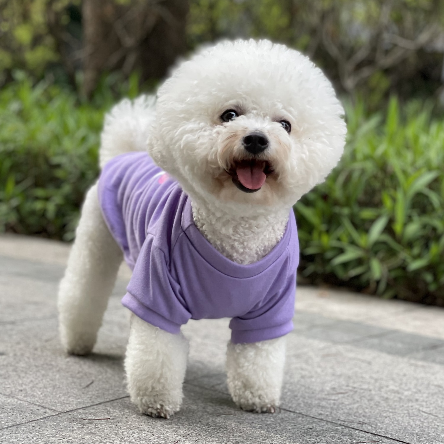 2025年 犬用 猫用 Tシャツ カジュアル / スポーティ 欧米の ウォーム 高通気性 洗濯可 快適 スポーツ＆アウトドア アウトドア スポーツ・アウトドア 週末 犬服 for ハスキー犬 ダルメシアン ボーダーコリー スピッツ コーギー  コレクション – $17.49 –P4