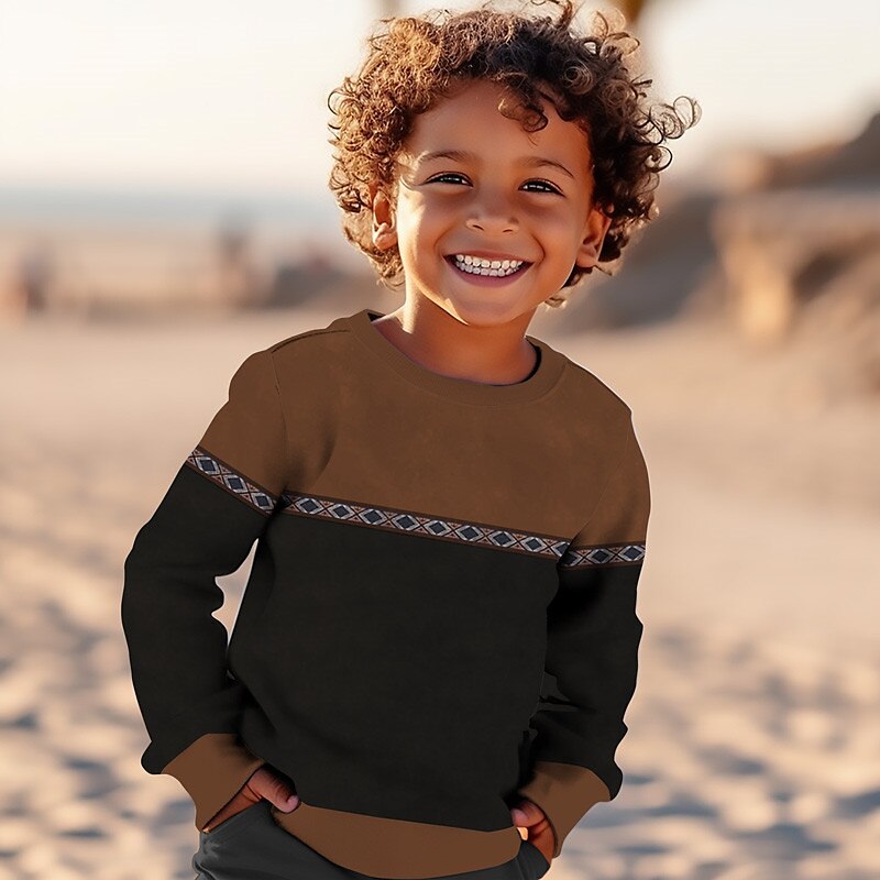 Jongens 3D Grafisch Geometrisch Kleurenblok Sweatshirt Lange mouw 3D-afdrukken Zomer Herfst Vintage 3D-print Ontwerper Kinderen 3-12 jaar Buiten Casual Dagelijks Normale pasvorm 2025 - $16.49 –P2