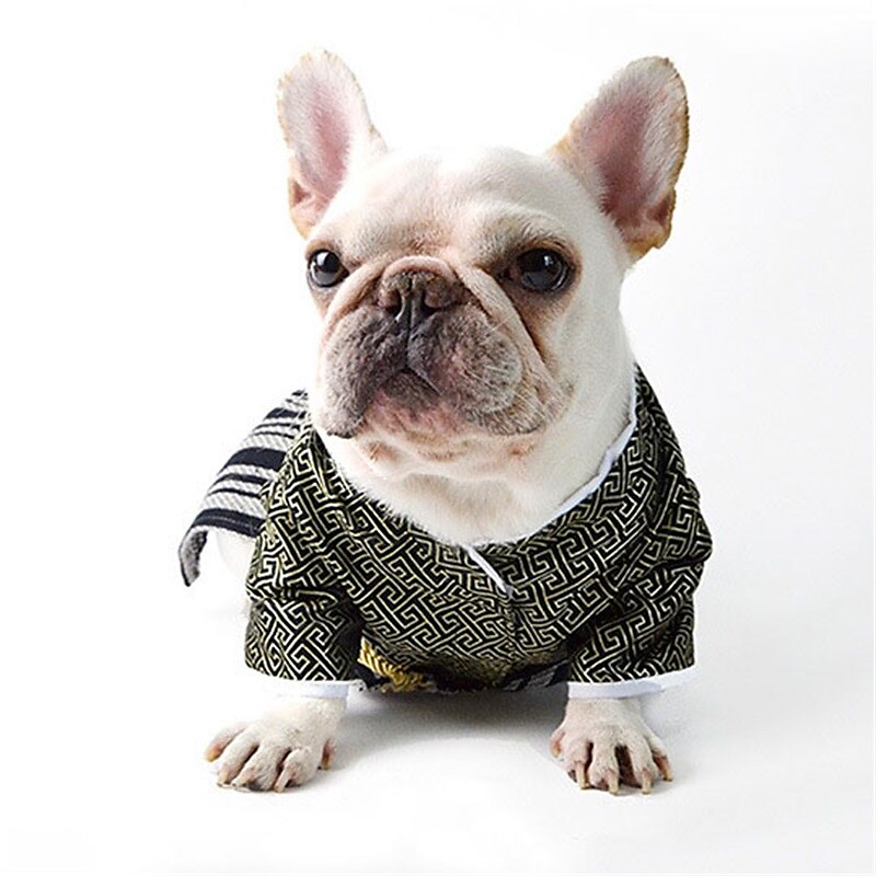 Câini Pisici Costume de Halloween Costum Tinuta de Halloween Cosplay Amuzant Iarnă Απαλό Lavabil Comfortabil Halloween În aer liber Halloween Casul / Zilnic Îmbrăcăminte pentru câini for Bichon Frise 2025 - $23.99 –P10