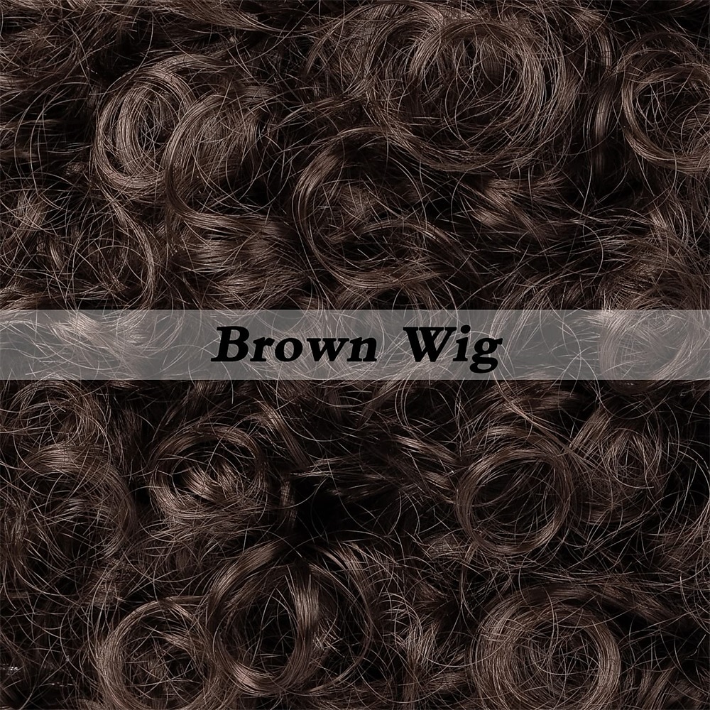 Disco Wig70'S Costumes Wig Afro Wig Men Short Curly Natural Fluffy Synthetic hair Wig for Carnival Disco Party(Only Wigs) Halloween Wigs 2025 - $19.49 –P8