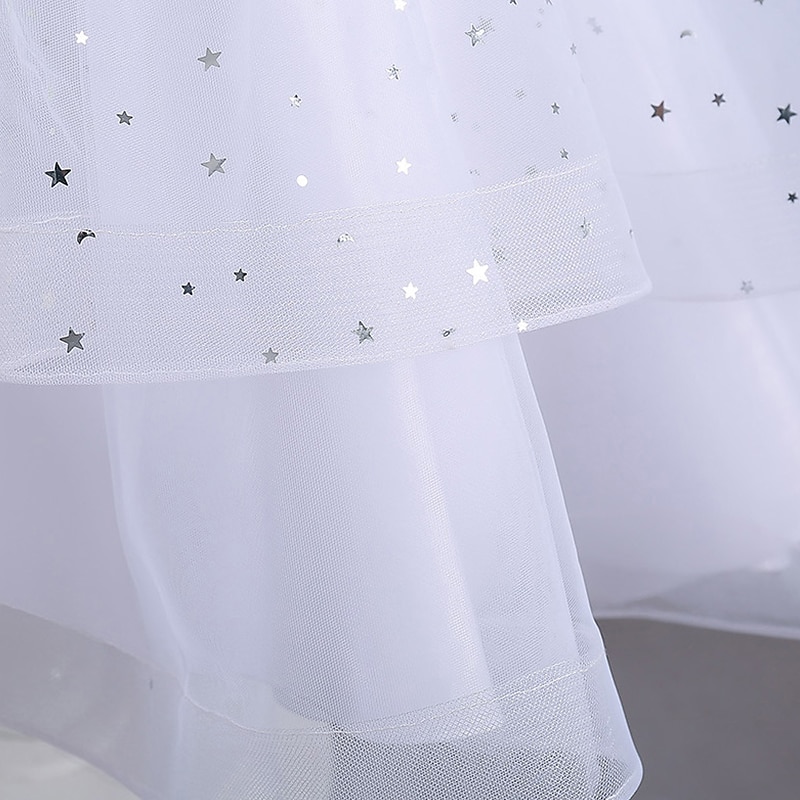 Děti Dívčí Šaty Šaty na párty Pevná barva Bez rukávů Výkon Svatební Zvláštní příležitosti Flitry Síťka Elegantní Módní Rozkošný Polyester Maxi Šaty na párty Péřové šaty Swingové šaty Léto Jaro 3-13 2025 - $32.99 –P17