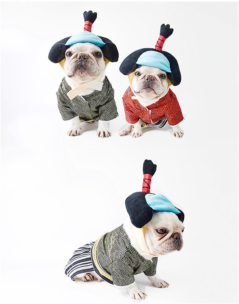 Câini Pisici Costume de Halloween Costum Tinuta de Halloween Cosplay Amuzant Iarnă Απαλό Lavabil Comfortabil Halloween În aer liber Halloween Casul / Zilnic Îmbrăcăminte pentru câini for Bichon Frise 2025 - $23.99 –P3