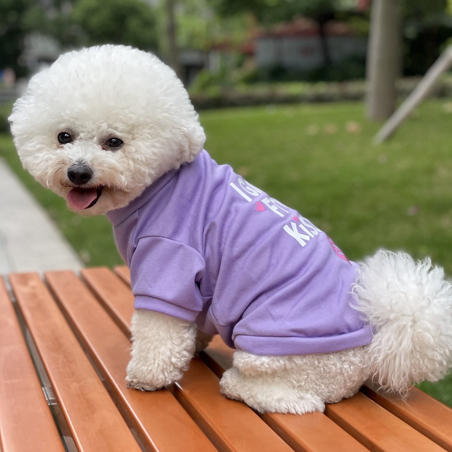 2025年 犬用 猫用 Tシャツ カジュアル / スポーティ 欧米の ウォーム 高通気性 洗濯可 快適 スポーツ＆アウトドア アウトドア スポーツ・アウトドア 週末 犬服 for ハスキー犬 ダルメシアン ボーダーコリー スピッツ コーギー  コレクション – $17.49 –P8