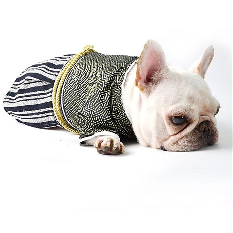 Câini Pisici Costume de Halloween Costum Tinuta de Halloween Cosplay Amuzant Iarnă Απαλό Lavabil Comfortabil Halloween În aer liber Halloween Casul / Zilnic Îmbrăcăminte pentru câini for Bichon Frise 2025 - $23.99 –P9