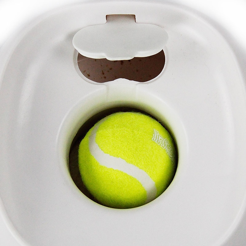 Balle Jouets de mastication Jouet interactif avec Durable Exercice pour animaux de compagnie Dressage d'animaux Jouet de dentition pour Chien Chat Intérieur Extérieur Jeu d'animaux de 2025 ? $31.99 –P2