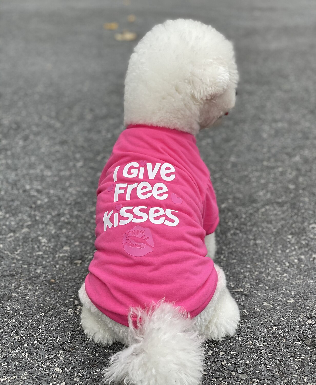 2025年 犬用 猫用 Tシャツ カジュアル / スポーティ 欧米の ウォーム 高通気性 洗濯可 快適 スポーツ＆アウトドア アウトドア スポーツ・アウトドア 週末 犬服 for ハスキー犬 ダルメシアン ボーダーコリー スピッツ コーギー  コレクション – $17.49 –P11