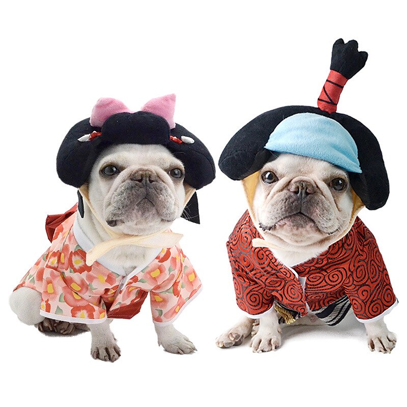 Câini Pisici Costume de Halloween Costum Tinuta de Halloween Cosplay Amuzant Iarnă Απαλό Lavabil Comfortabil Halloween În aer liber Halloween Casul / Zilnic Îmbrăcăminte pentru câini for Bichon Frise 2025 - $23.99 –P1