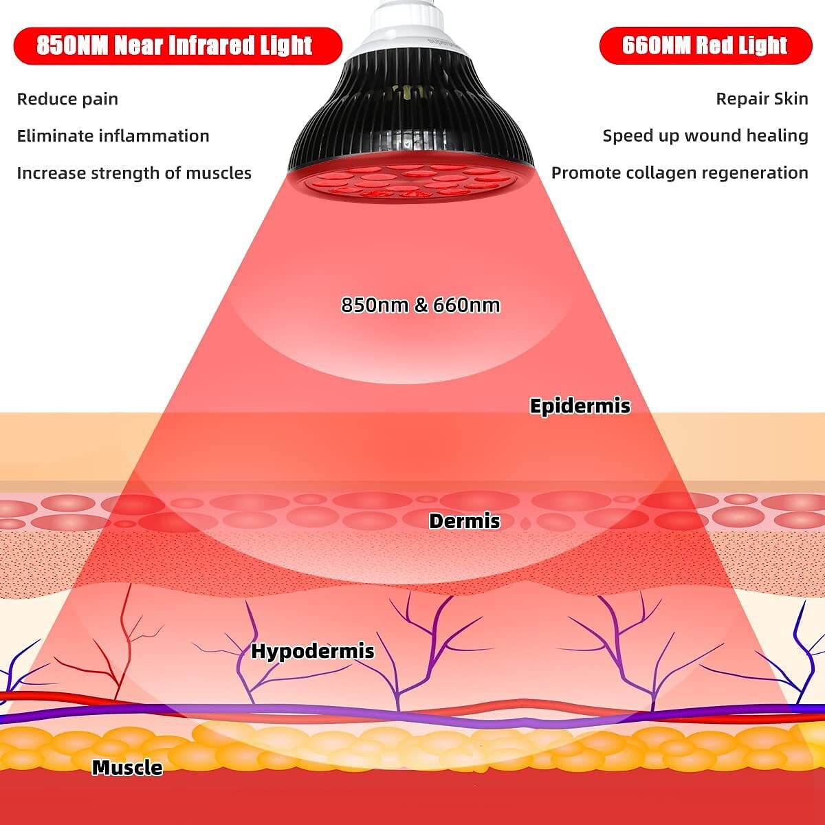 Led Red Light 54w Tripod Light Bulb Physiotherapy Light Par38 Dual Core 660 850nm Red Light Therapy Lamp Near Infrared Combo Bulb for Skin Care, Pain Relief, and Anti-Aging Benefits 2025 - $82.99 –P8