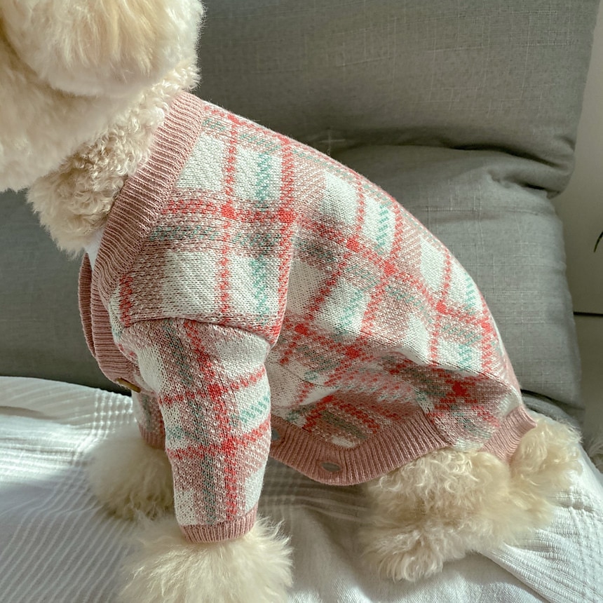 Câini Pisici Pulovere Jumper Modă Casual Iarnă Cald Respirabil Απαλό Lavabil Comfortabil În aer liber Casul / Zilnic Îmbrăcăminte pentru câini for Bichon Frise Pomeran un Animalut Fluture Small 2025 - $35.99 –P5