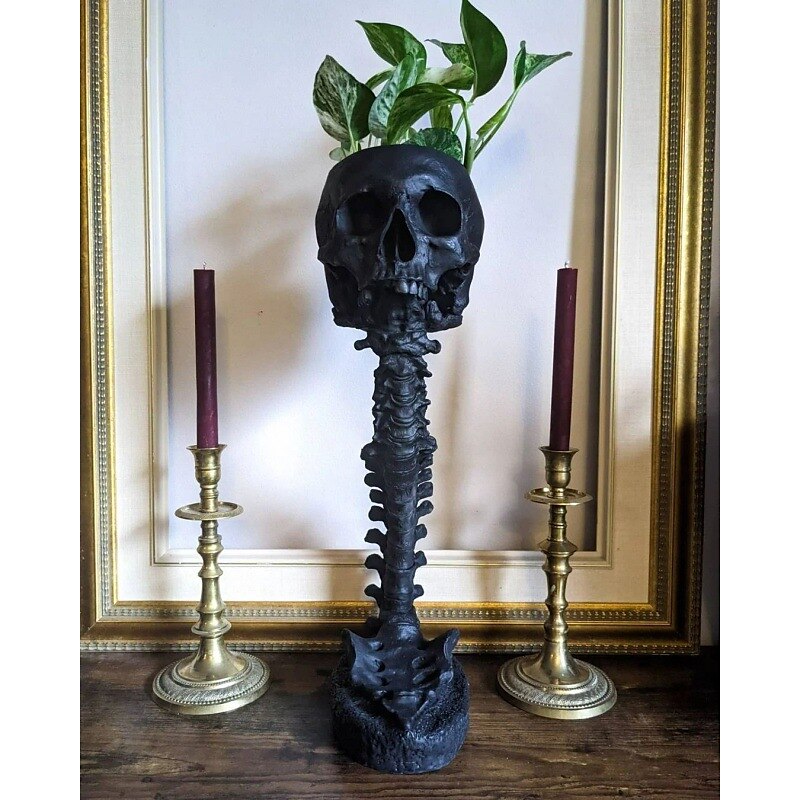 Halloween Skull Planter & Spine Stand, Resin Skull Head Flower Succulent Cactus Planter Pots,or Home Office Desk Decorations Halloween Scene Statue Sculpture Decorations 2025 - $26.99 –P7