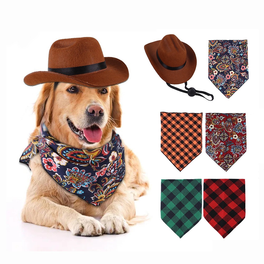 Câini Pisici Bandane & Căciuli Accesorii salopete triunghi Tinuta de Halloween Epocă Modă Respirabil Απαλό Lavabil Comfortabil În aer liber Casul / Zilnic Îmbrăcăminte pentru câini for Bichon Frise 2025 - $23.99 –P1