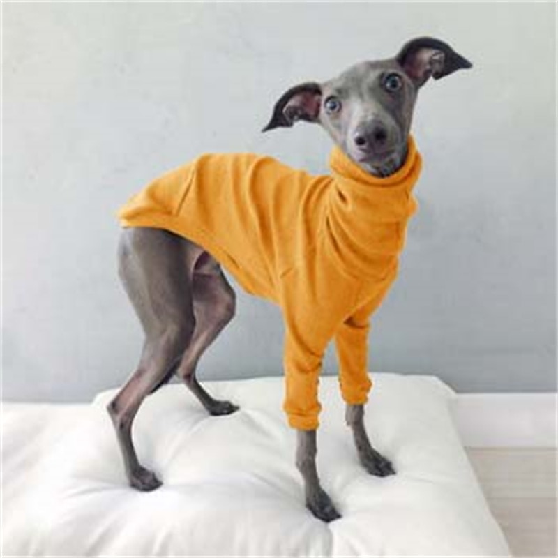 Dog Cat Shirt / T-Shirt Fashion Cute Breathable Soft Washable Comfortable Outdoor Casual Daily Dog Clothing for Bichon Frise Pomeranian Baby Pet Papillon Small 2025 - $25.99 –P2