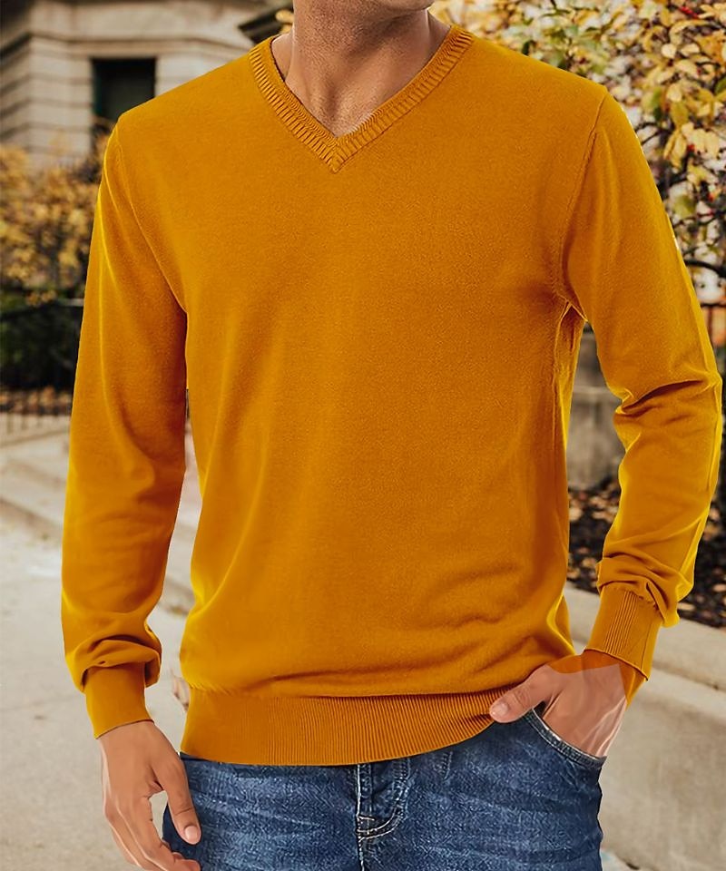 Voor heren Trui Geribd breien Normaal Gebreid Effen Kleur V-hals Modern eigentijds Werk Alledaagse kleding Kleding Winter Kameel Zwart S M L 2025 - $26.99 –P13