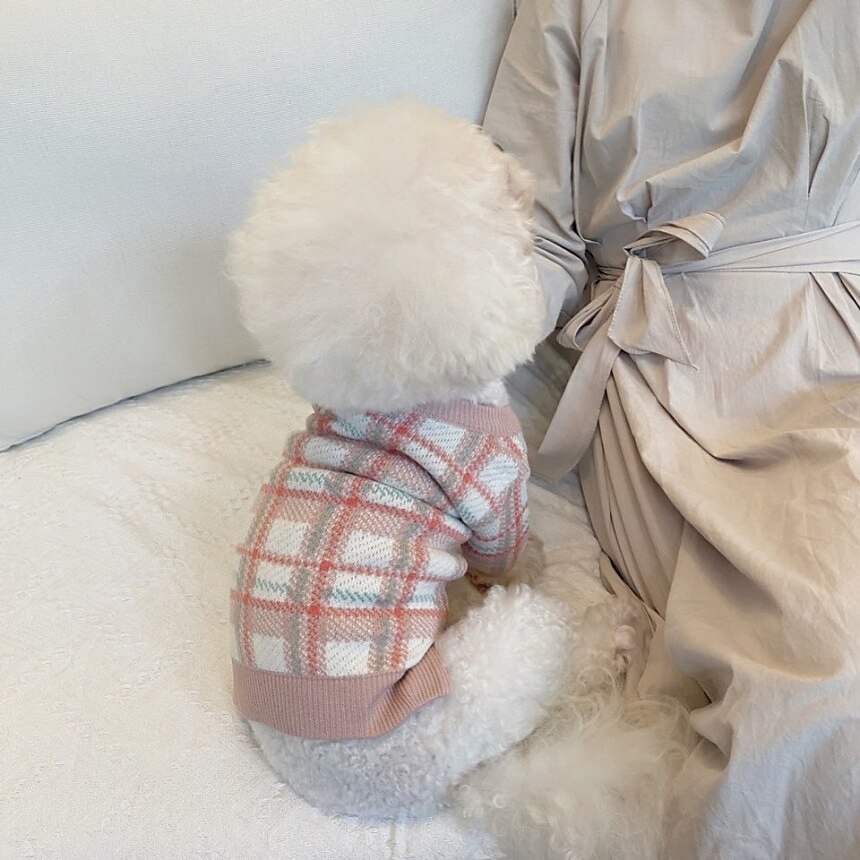 Câini Pisici Pulovere Jumper Modă Casual Iarnă Cald Respirabil Απαλό Lavabil Comfortabil În aer liber Casul / Zilnic Îmbrăcăminte pentru câini for Bichon Frise Pomeran un Animalut Fluture Small 2025 - $35.99 –P10