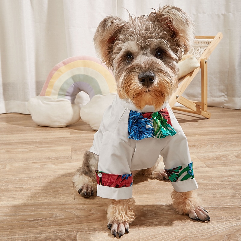Psy Koty Koszulki Moda Codzienny Zima Oddychający Miękka Zmywalny Wygodny Na zewnątrz Codzienne Ubranka dla psów for Bichon frise Szpic miniaturowy szczeniaków i młodych kotów Motyl Small 2025 - $27.99 –P1