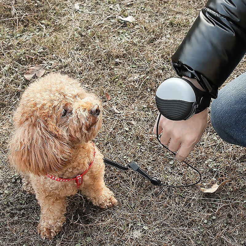 Câini Pisici Animale Mici Lese Portabil Durabil Siguranță În aer liber Mers Bloc Culoare Caine mic Câine mediu Câine mare 1 buc 2025 - $34.99 –P3